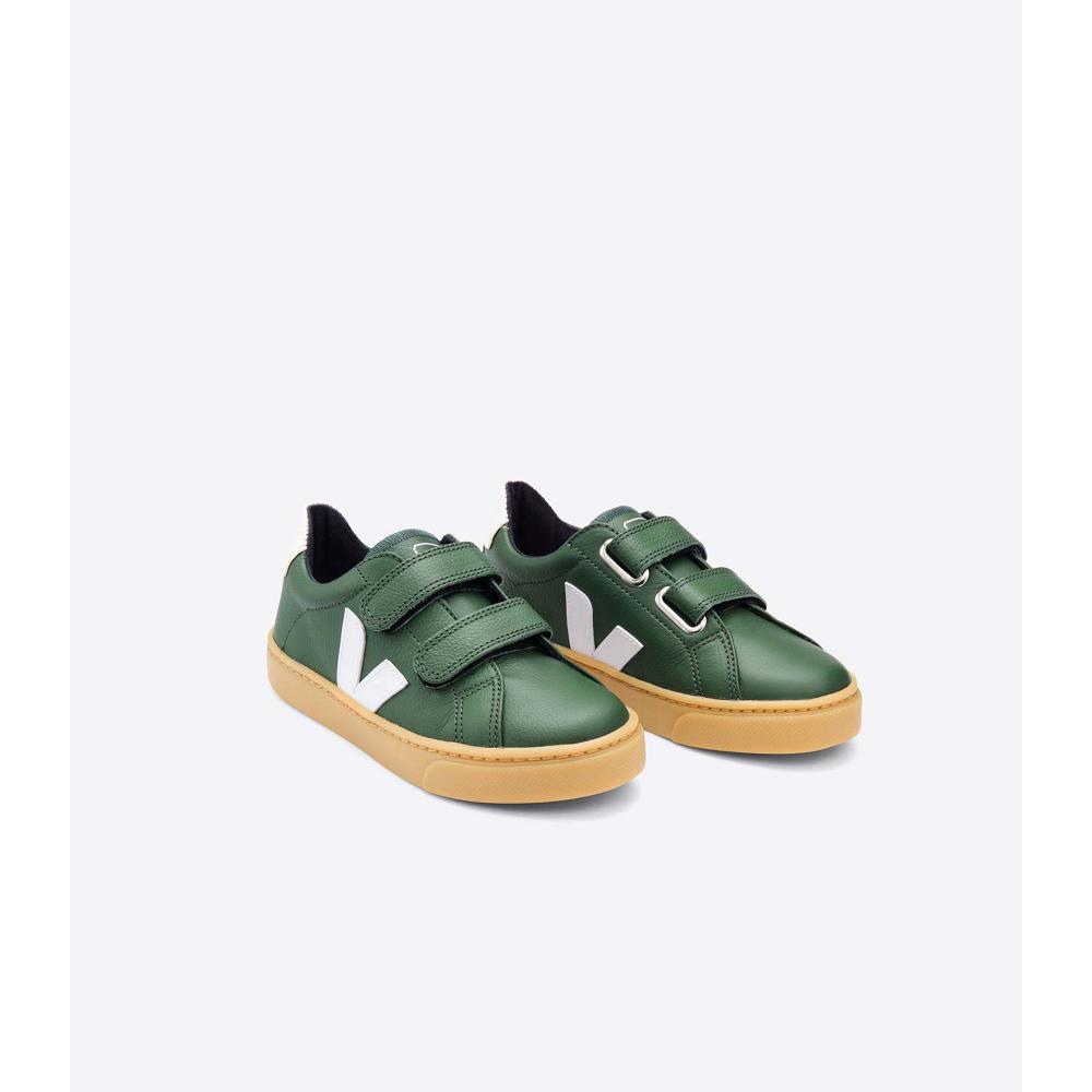 Kids' Veja ESPLAR LEATHER Shoes Green | SG 736TCE